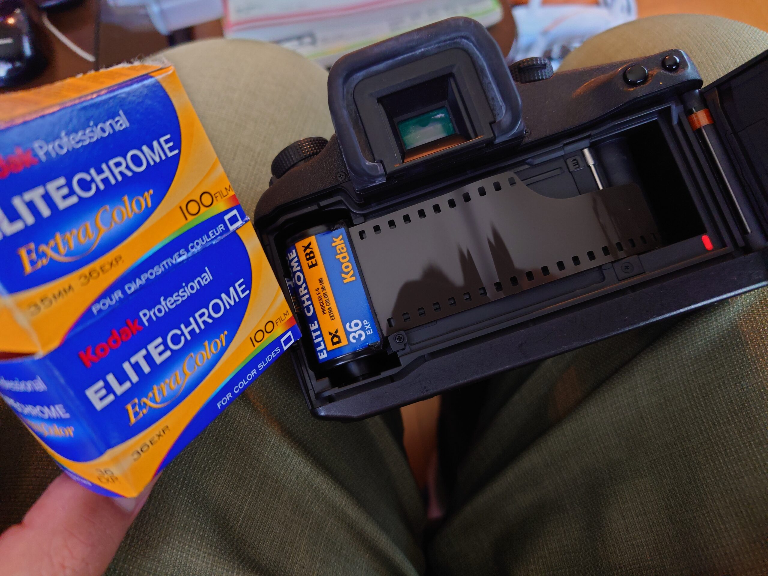 フィルムカメラ再稼働