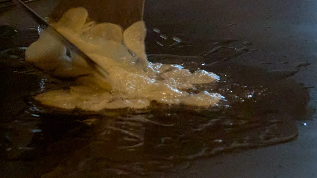 家族の写真