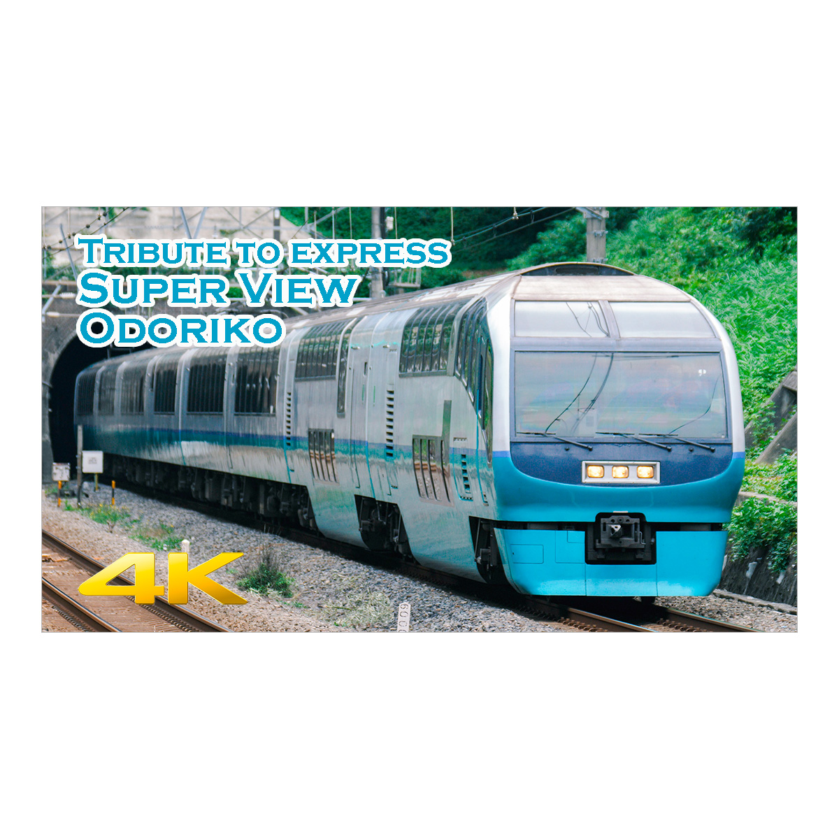 Tribute to express Super View Odoriko【4K 60fps】